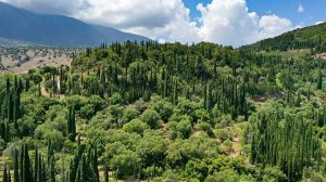 ΕΕ: Προς αναβολή ο κανονισμός για την αποψίλωση των δασών;