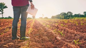 «Θρίλερ» με την τύχη 590 εκατ. ευρώ του παλιού ΠΑΑ