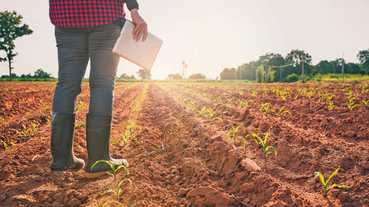 «Θρίλερ» με την τύχη 590 εκατ. ευρώ του παλιού ΠΑΑ