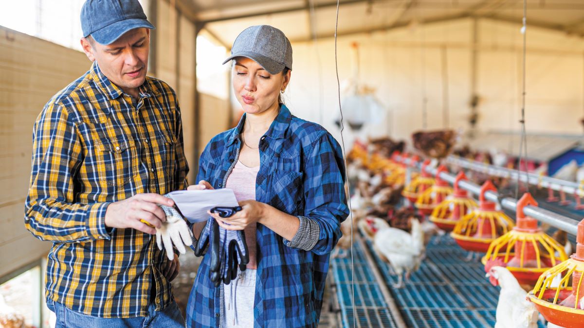 Όσα πρέπει να ξέρετε για την επιστροφή ΦΠΑ στους αγρότες του ειδικού καθεστώτος