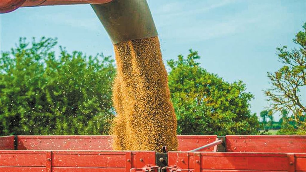 Σκληρό σιτάρι: Με 237,50 ευρώ/τόνο πούλησε ο Συνεταιρισμός Βόλου