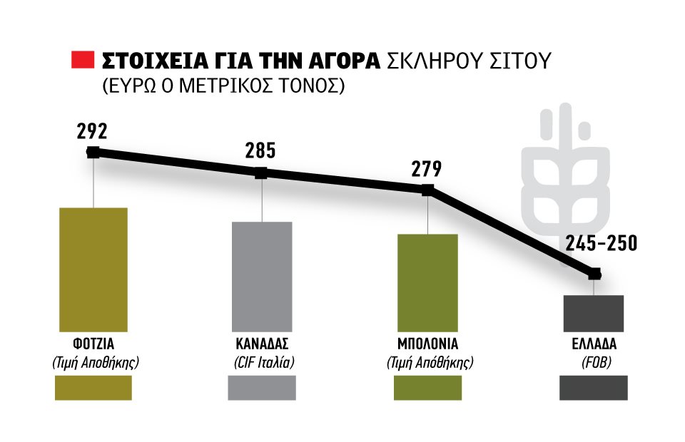 Διευκολύνουν κλεισίματα με 22 λεπτά τα υψηλότερα FOB στο ελληνικό σκληρό σιτάρι