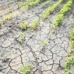 ee-klimatiki-allagi-ta-krati-meli-symfonisan-se-koini-thesi-enopsei-tis-eperchomenis-cop30-sti-vrazilia-287658