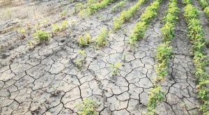 ee-klimatiki-allagi-ta-krati-meli-symfonisan-se-koini-thesi-enopsei-tis-eperchomenis-cop30-sti-vrazilia-287658