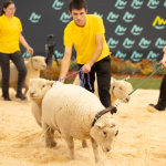 Η έκθεση Sommet de l’Elévage επιβεβαίωσε τον ηγετικό της ρόλο στη βιώσιμη κτηνοτροφία - Τυροκόμος