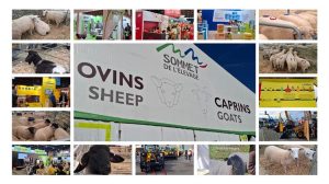 Οι Έλληνες κτηνοτρόφοι στη Sommet de l’Élevage αναζητούν λύσεις έξω από τα σύνορα