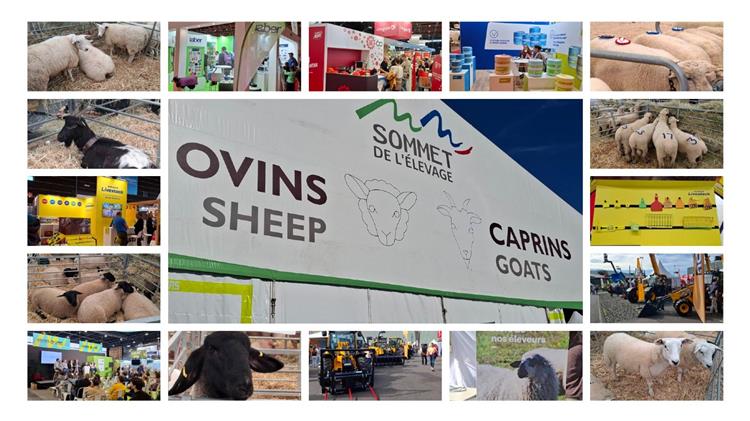 Οι Έλληνες κτηνοτρόφοι στη Sommet de l’Élevage αναζητούν λύσεις έξω από τα σύνορα