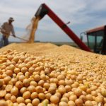 Ο Τραμπ απειλεί με έξτρα δασμούς 100% σε προϊόντα από την Κίνα, υπό πίεση η αγορά σόγιας στις ΗΠΑ