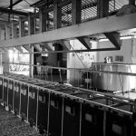 Μέχρι τέλος του έτους η υποχρεωτική απογραφή των σταβλικών εγκαταστάσεων