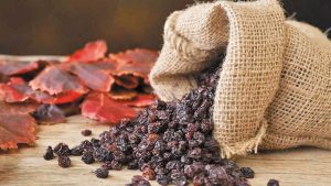 Μεσσηνία: Ικανοποίηση για τις τιμές και την ποιότητα της σταφίδας