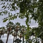 Καιρός: Άστατος με νεφώσεις κατά διαστήματα και κατά τόπους αυξημένες και τοπικές βροχές