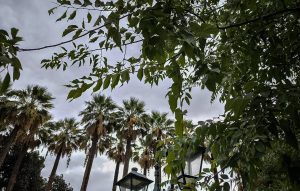 Καιρός: Άστατος με νεφώσεις κατά διαστήματα και κατά τόπους αυξημένες και τοπικές βροχές