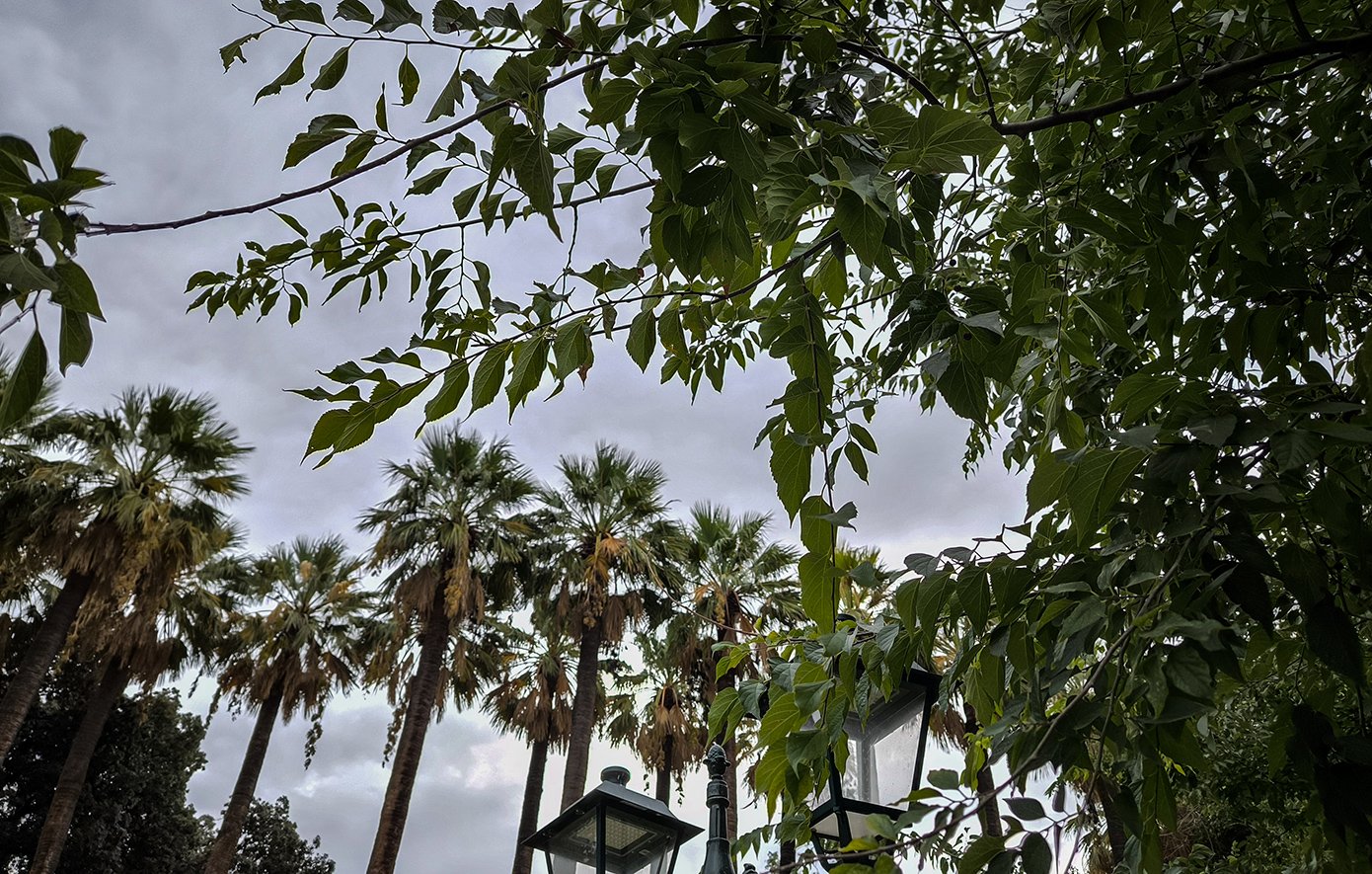 Καιρός: Άστατος με νεφώσεις κατά διαστήματα και κατά τόπους αυξημένες και τοπικές βροχές