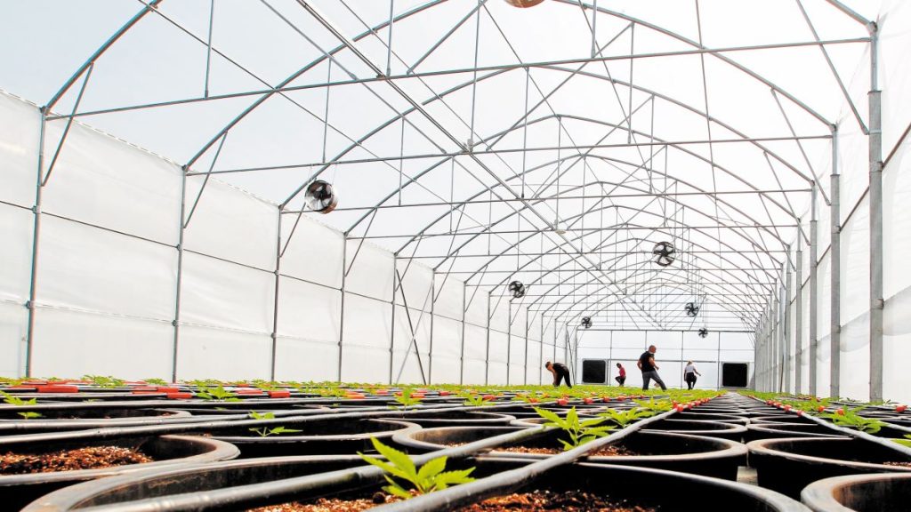 Λιγότερο από μία βδομάδα για τις αιτήσεις πληρωμής των παλιών Σχεδίων Βελτίωσης