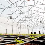 Λιγότερο από μία βδομάδα για τις αιτήσεις πληρωμής των παλιών Σχεδίων Βελτίωσης