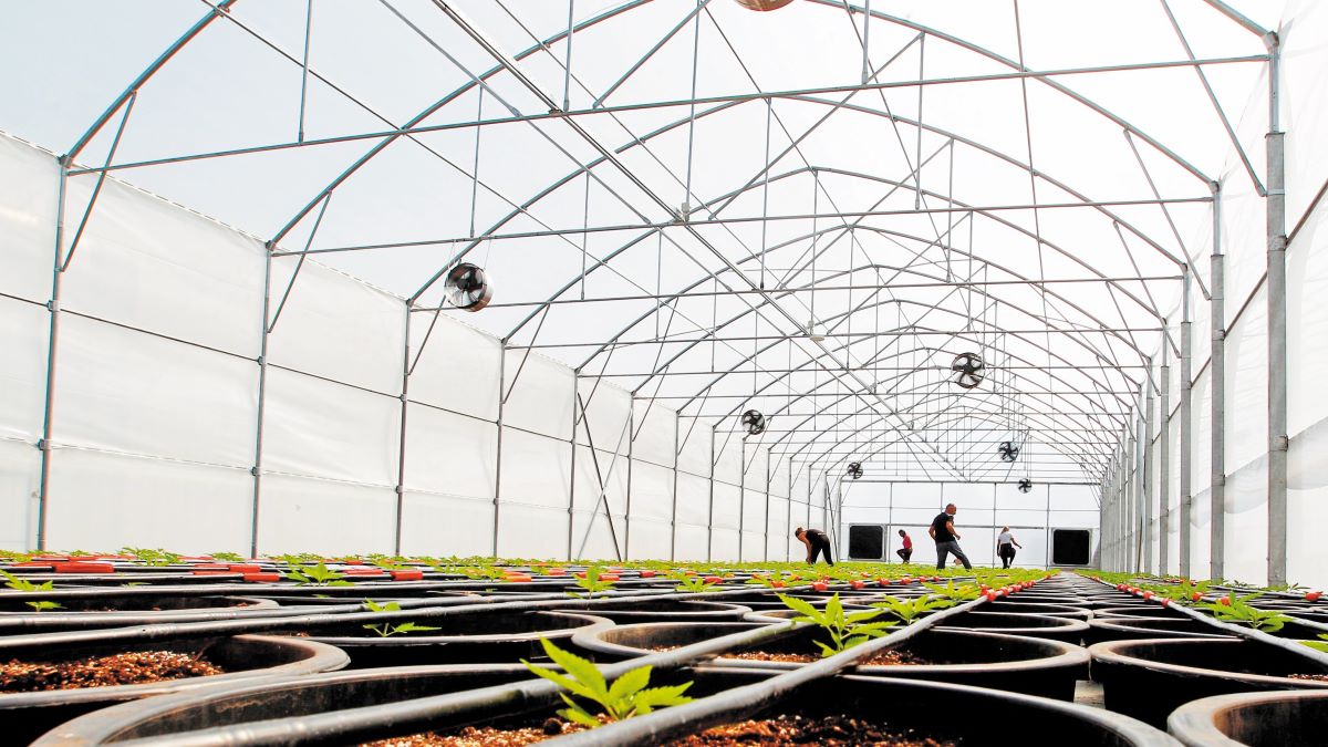 Λιγότερο από μία βδομάδα για τις αιτήσεις πληρωμής των παλιών Σχεδίων Βελτίωσης