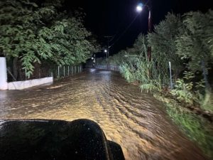 Καταρρακτώδης βροχή στη Μεσσηνία: Πλημμύρες, εγκλωβισμοί και νύχτα αγωνίας στην Τριφυλία