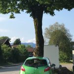 Μενίδι: ΙΧ «καρφώθηκε» σε δέντρο - Τραυματίστηκε σοβαρά ο οδηγός