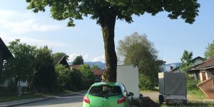 Μενίδι: ΙΧ «καρφώθηκε» σε δέντρο - Τραυματίστηκε σοβαρά ο οδηγός