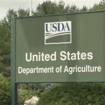 USDA: Αυξάνει την εκτίμηση για την παραγωγή σιταριού στις ΗΠΑ