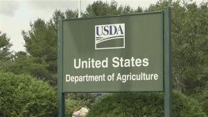 USDA: Αυξάνει την εκτίμηση για την παραγωγή σιταριού στις ΗΠΑ