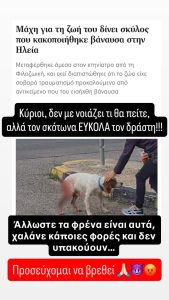 Ξέσπασε ο Χάρης Βαρθακούρης για τη φρικτή κακοποίηση του σκύλου στην Ηλεία: «Τον σκότωνα εύκολα τον δράστη»