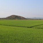 Ζεϊμπέκ για τα λάθη του ΟΠΕΚΕΠΕ στον αναδασμό του Ερασμίου Ξάνθης