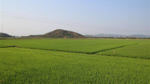 Ζεϊμπέκ για τα λάθη του ΟΠΕΚΕΠΕ στον αναδασμό του Ερασμίου Ξάνθης