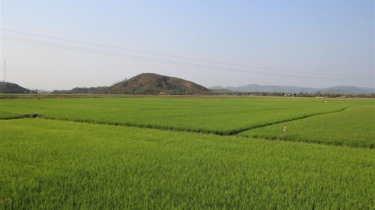 Ζεϊμπέκ για τα λάθη του ΟΠΕΚΕΠΕ στον αναδασμό του Ερασμίου Ξάνθης