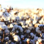 Άνευ προηγουμένου το φιάσκο στα Βιολογικά, να πληρωθούν οι σωστοί