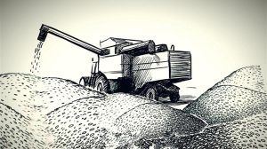 Πίεση στις εξαγωγές, ένταση στις τιμές  και η διπλή εικόνα της παγκόσμιας αγοράς σιταριού