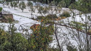 Μέτρο 23: Βγήκαν τα οριστικά αποτελέσματα – μετά τις ενστάσεις