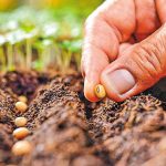 Πανεπιστήμιο Δυτικής Μακεδονίας:  Κατάρτιση σε θέματα παραγωγής, πιστοποίησης και διακίνησης φυτικού πολλαπλασιαστικού υλικού