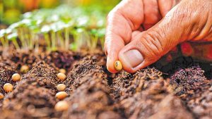 Πανεπιστήμιο Δυτικής Μακεδονίας:  Κατάρτιση σε θέματα παραγωγής, πιστοποίησης και διακίνησης φυτικού πολλαπλασιαστικού υλικού