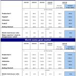 Αγροτικές Ειδήσεις: FAO: Παγκόσμιο ρεκόρ στην παραγωγή δημητριακών το 2025