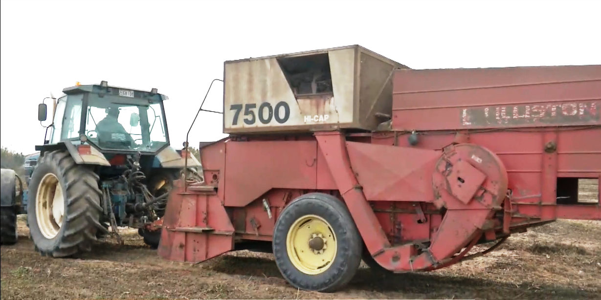 Σε εξέλιξη η συγκομιδή του φιστικιού