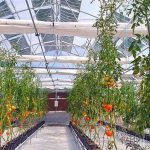 Ελληνικά Αγροβολταϊκά από την εταιρεία OET : Αύξηση της παραγωγής έως και 40%!