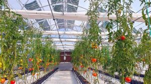 Ελληνικά Αγροβολταϊκά από την εταιρεία OET : Αύξηση της παραγωγής έως και 40%!