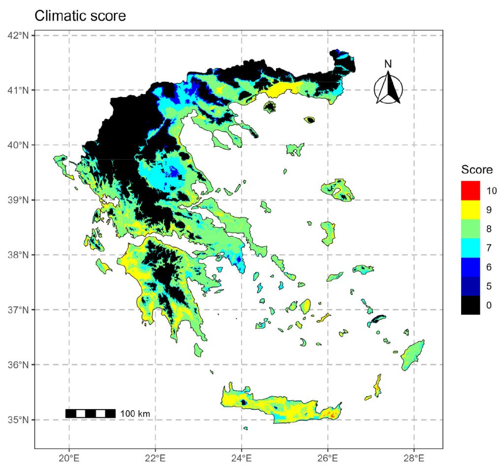 Οι άγνωστοι «πρωταθλητές» της ελληνικής ελιάς-1
