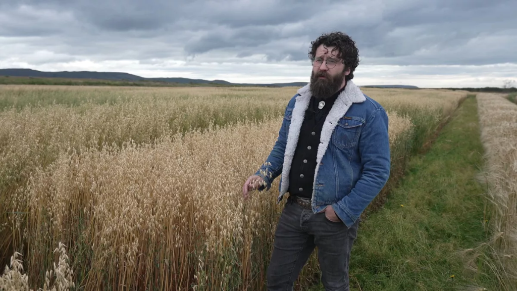 Η κλιματική αλλαγή ανοίγει δρόμο στην καλλιέργεια βρώμης στη Βόρεια Ευρώπη