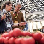 Στη Μάλαγα θα πουν πως θα είναι η ντομάτα του 2030 σε γεύση και βιωσιμότητα - Fresher