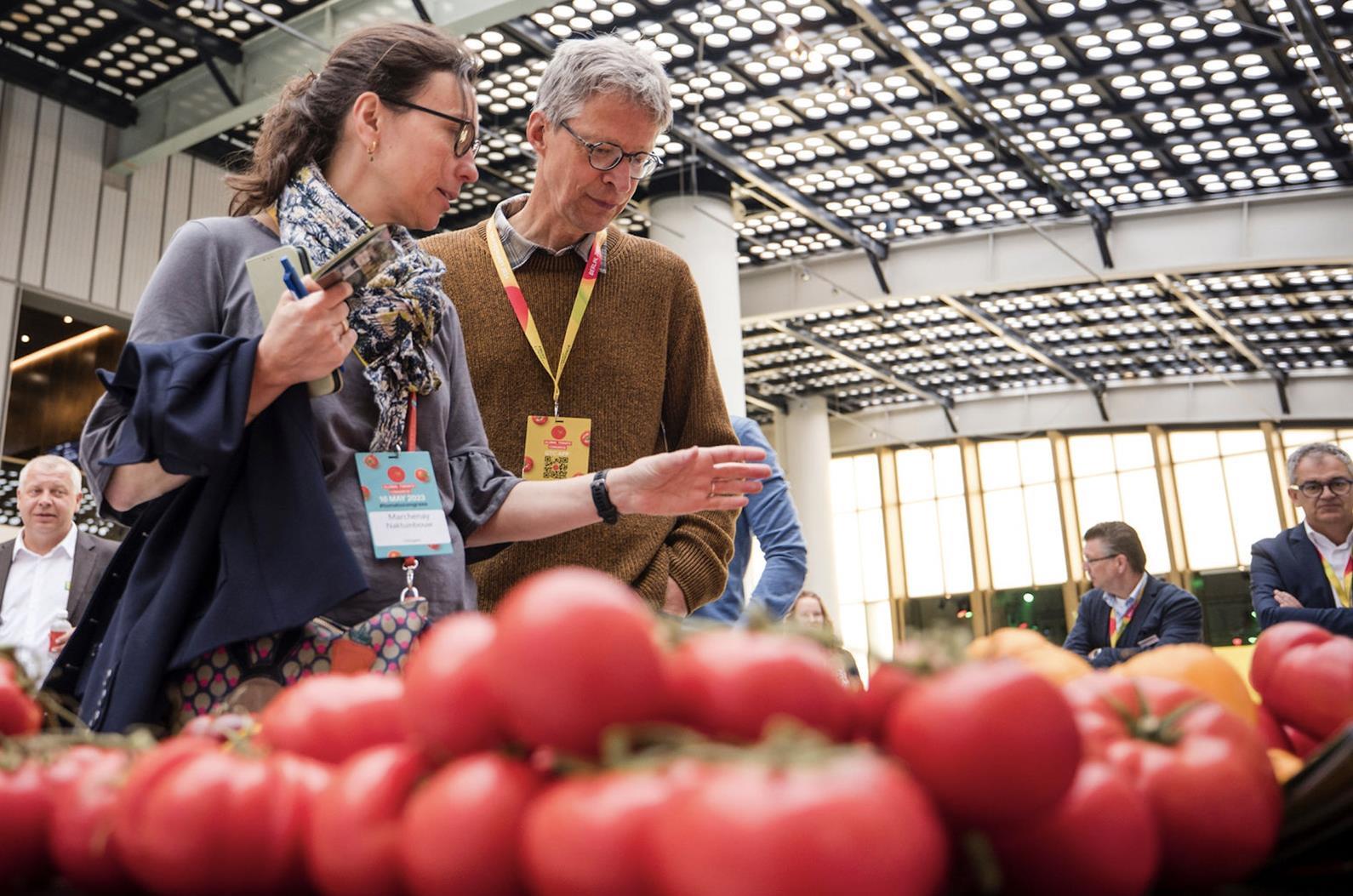 Στη Μάλαγα θα πουν πως θα είναι η ντομάτα του 2030 σε γεύση και βιωσιμότητα - Fresher