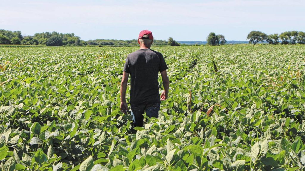 Η Επιτροπή καλωσορίζει την πολιτική συμφωνία για το πακέτο απλοποίησης της ΚΑΠ