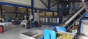 Η Σταμνά δείχνει τον δρόμο: Το πρώτο ελληνικό λιοτρίβι με τεχνολογία SpectraStar