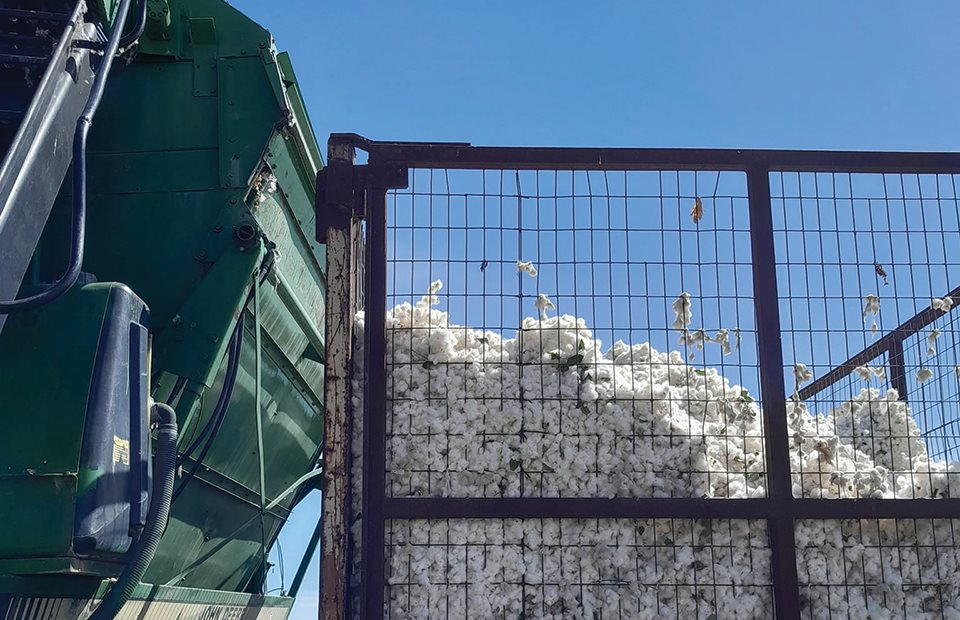 Ανέβηκε στα 120 εκατ. ευρώ το μπάτζετ για το πριμ άνθρακα, πάσχει από μειωμένη στήριξη εντός 2026 το βαμβάκι