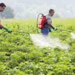 Σε ΦΕΚ η ΚΥΑ  για εναλλακτική διαχείριση κενών συσκευασιών φυτοπροστατευτικών προϊόντων