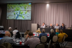 Παγκόσμια συστράτευση ειδικών για την διατήρηση παλαιών αμπελώνων - Winetrails