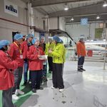 Βήμα για έναρξη εξαγωγών ελληνικού ακτινιδίου στο Βιετνάμ, η επίσκεψη φυτοϋγειονομικών ελεγκτών σε οπωρώνες και συσκευαστήρια - Fresher