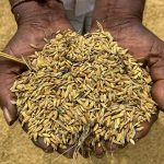 Ποιές χώρες παρέχουν τη μεγαλύτερη υποστήριξη στους αγρότες τους