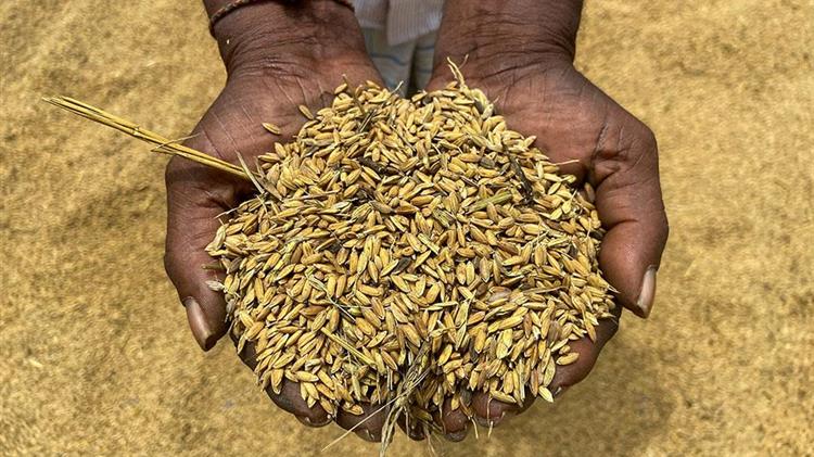 Ποιές χώρες παρέχουν τη μεγαλύτερη υποστήριξη στους αγρότες τους